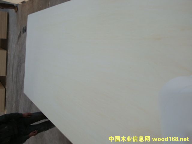 �S��ֱ�N�p�N�ؼ�Ư�ח�ľȫ���12��LVL�z�ϰ�