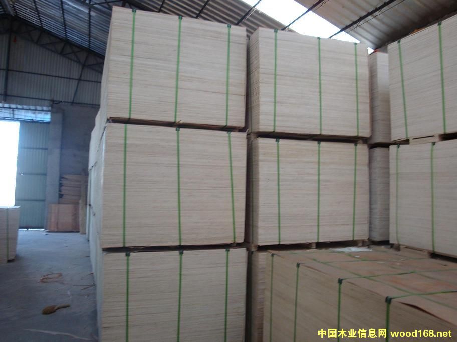 ����(y��ng)���b�� �Ҿ߰� �����z�ϰ�