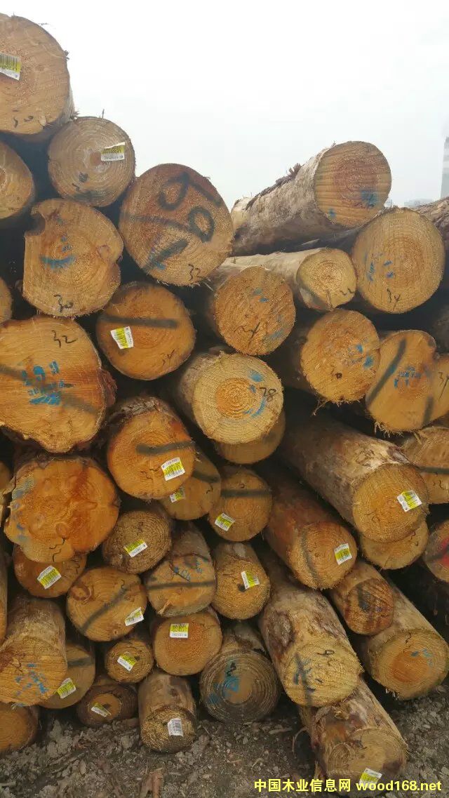 �c(di��n)���鿴ݗ���ɷŴ�DƬ