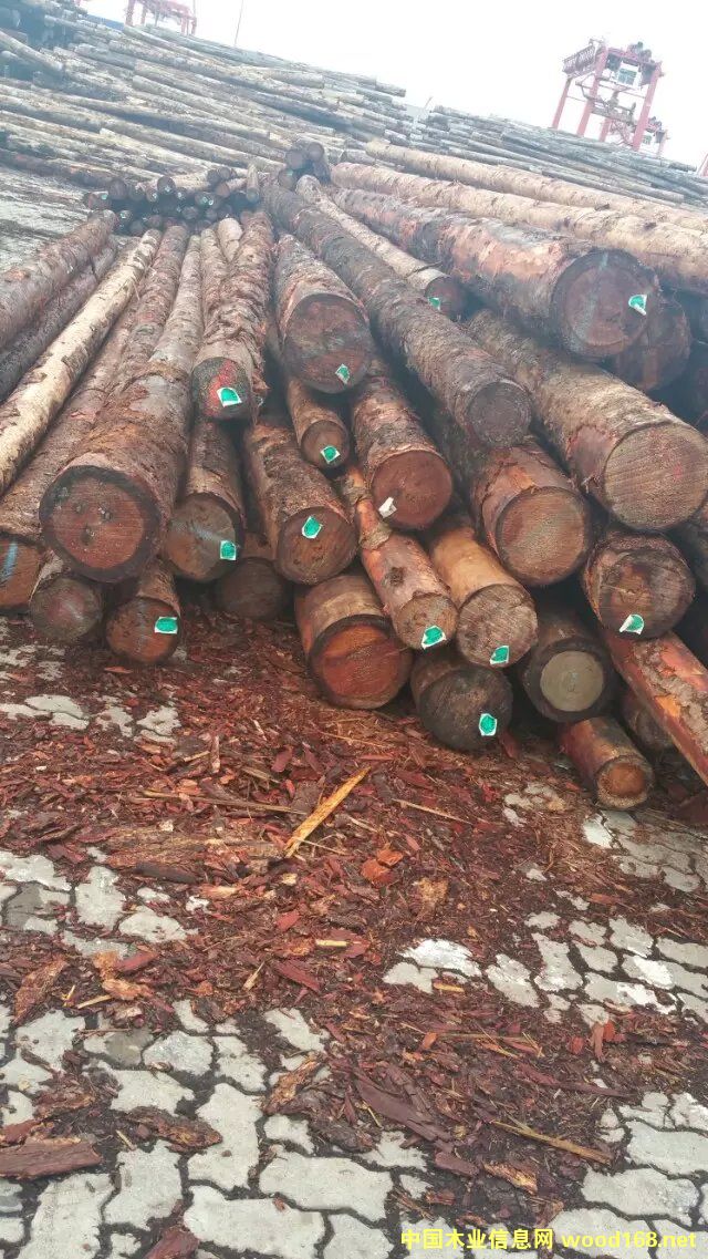 �c(di��n)���鿴���ô����ɷŴ�DƬ