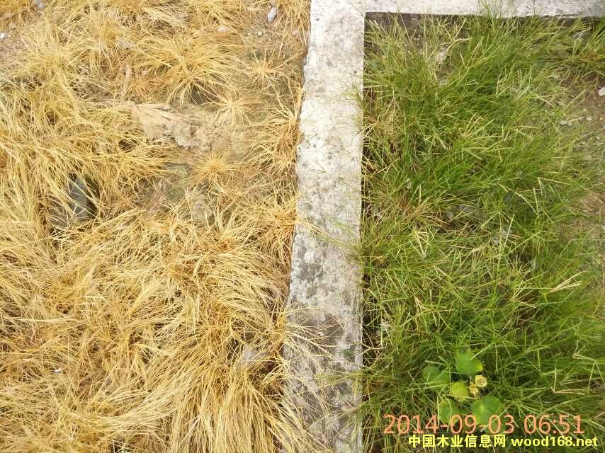 �c(di��n)���鿴��ݷ�Ŵ�DƬ