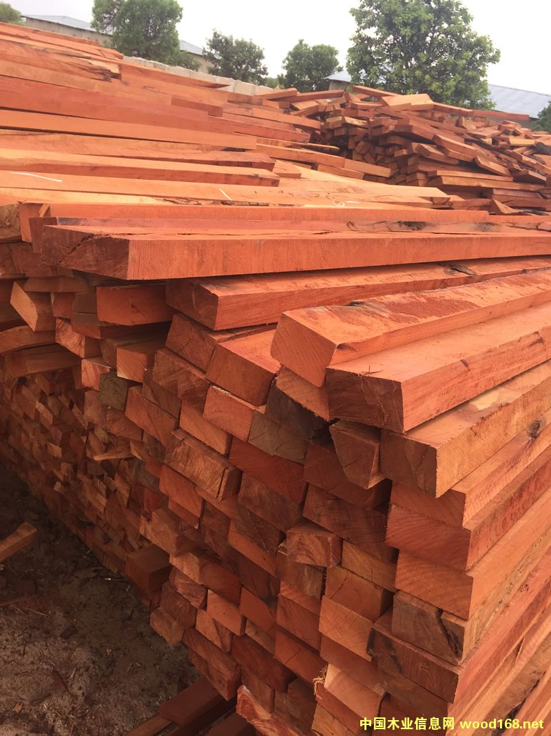 ZAMWINA �ͻ��U�ϵ�Ԕ��(x��)��B