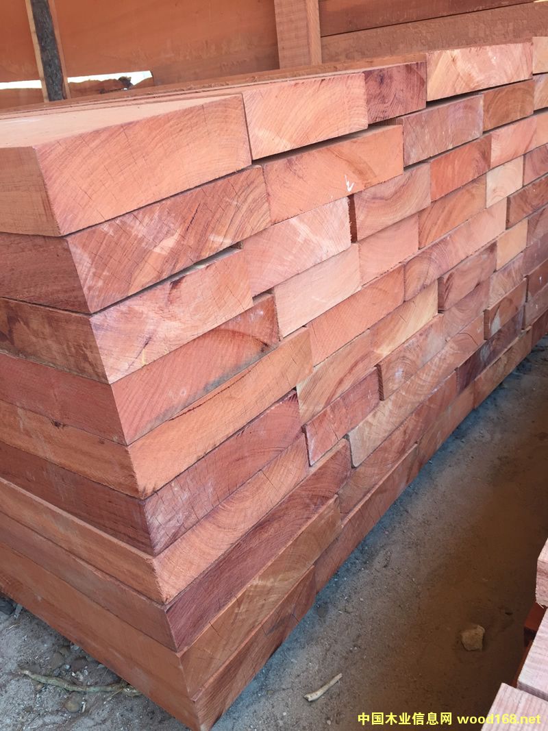 ZAMWINA �ͻ���ĵ�Ԕ��(x��)��B