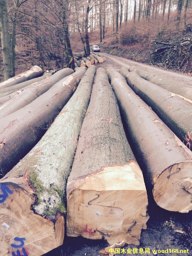 ��(gu��)��ľԭľ����