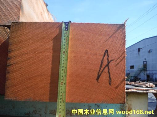 �����ɵ�Ԕ����B