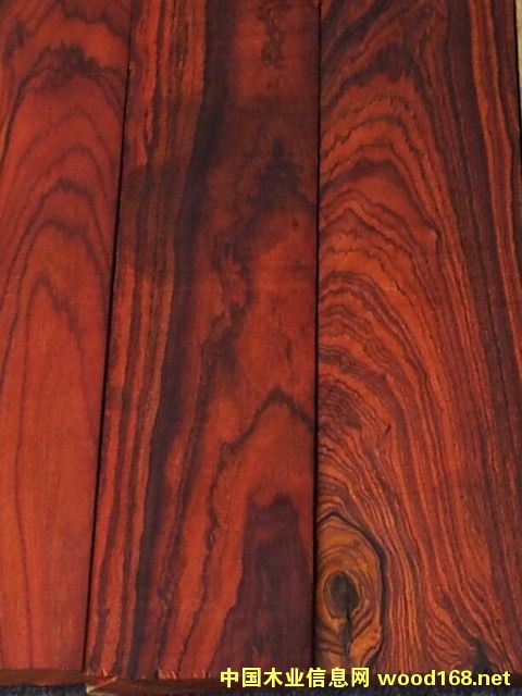 �c(di��n)���鿴�S̴ľ�Ŵ�DƬ