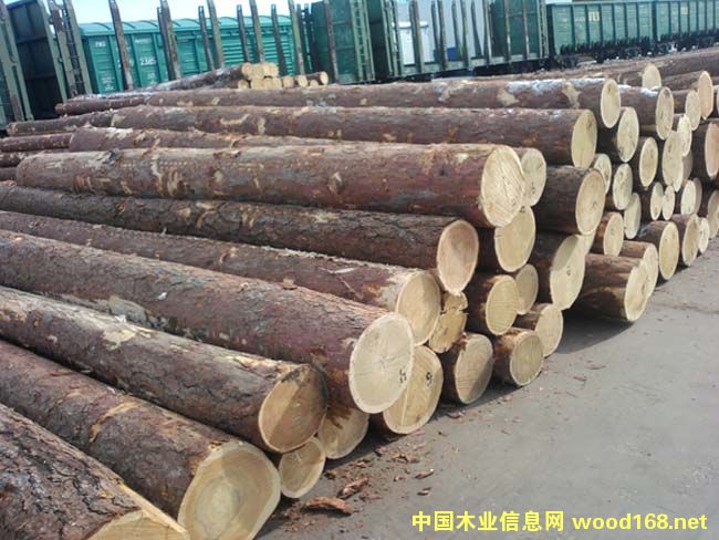 ���_˹����ԭľ��Ԕ��(x��)��B