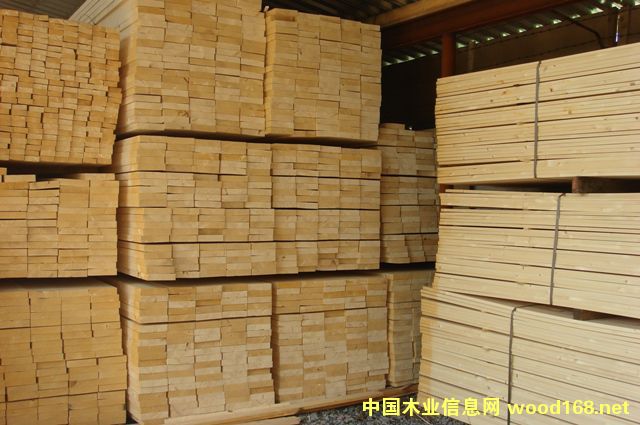 ��ľ�� ��Ԕ��(x��)��B