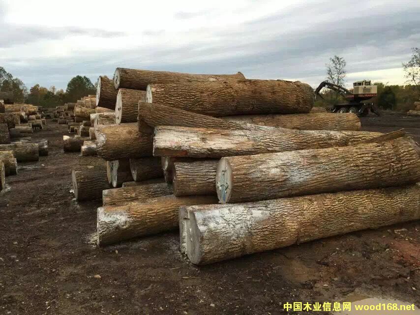 ����(gu��)��Ϟԭľ��Ԕ��(x��)��B