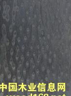 ؈�ۿƼ�ľƤ�S�ҵ�Ԕ����B