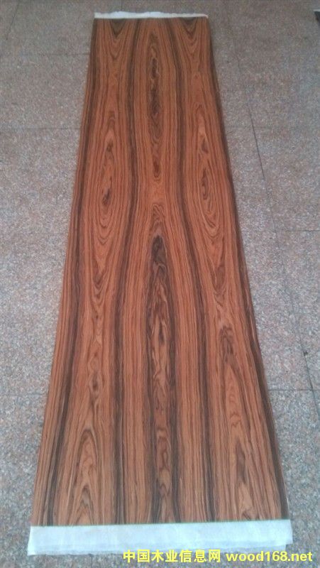 �Ƽ�ľƤ��Ԕ����B