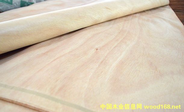 �W������Ƥ