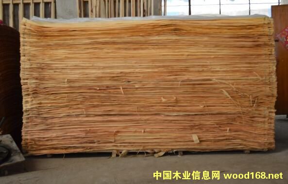  �t��ľƤ��Ԕ��(x��)��B