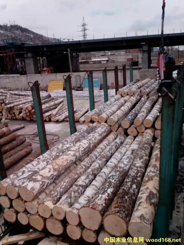 �ט�ԭľ��Ԕ����B