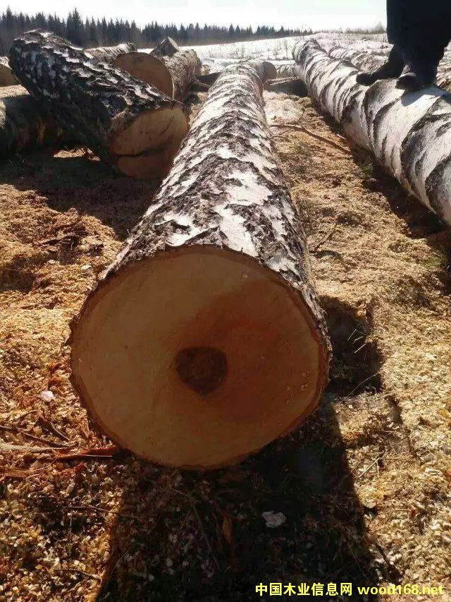 ��Ƥ�ט�ԭľ��Ԕ����B