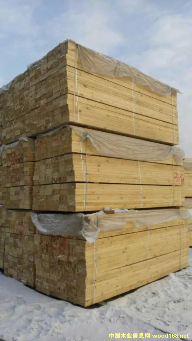 ����������������~�ɴ󷽵�Ԕ����B