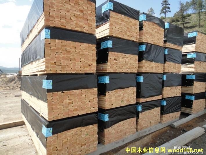 SPF�����ɣ���Ԕ����B