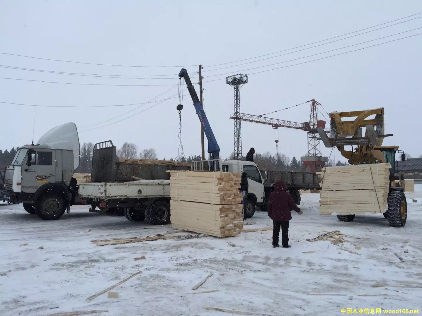 ��ľ���Ԕ����B