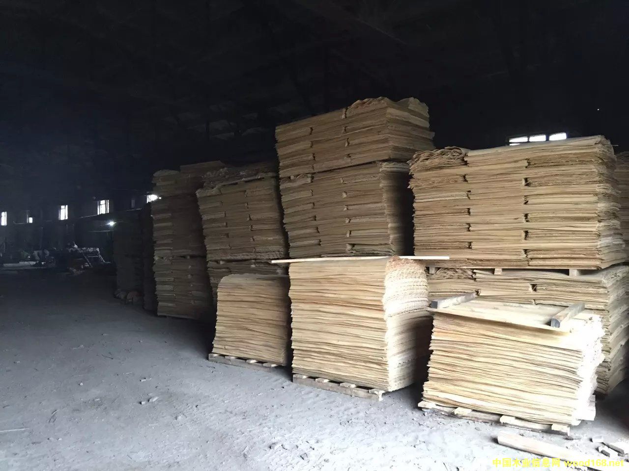 ��ľ�ΰ��Ԕ����B