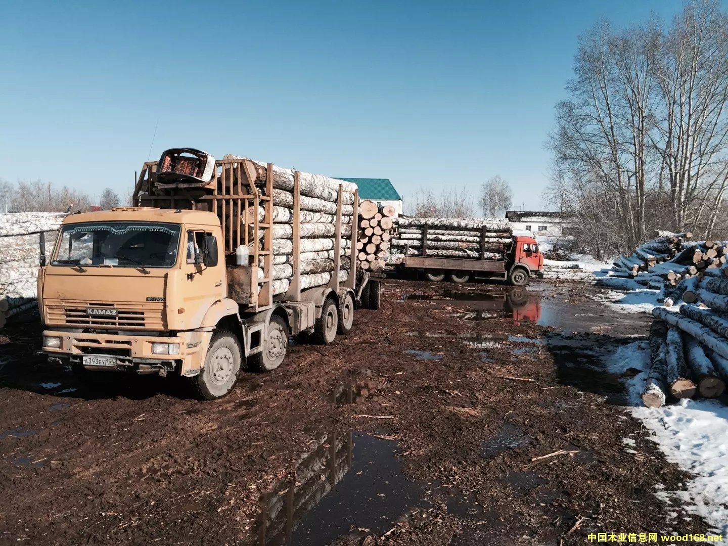 ��ľԭľ��Ԕ����B