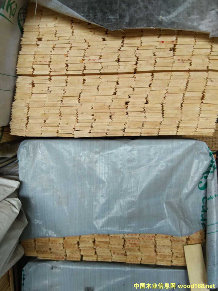 [��] ��ľ��¹�󱳰�����ϰ��