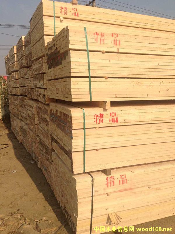 �����Fɼ����ľ����Ԕ����B