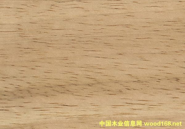 泰國橡膠木的詳細(xì)介紹