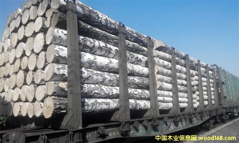 ����������ľ��Ԕ����B