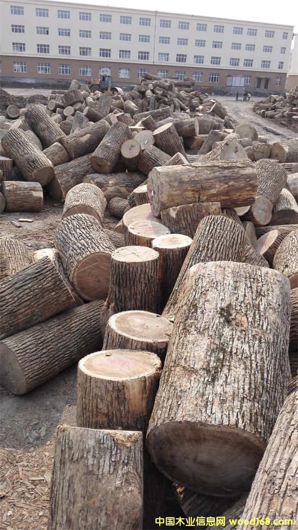 [��] ˮ�������ж̲�����������������