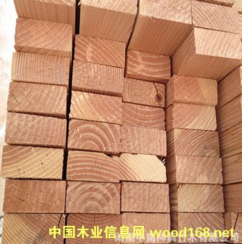 樟子松 俄羅斯進口 樟子松 俄羅斯進口