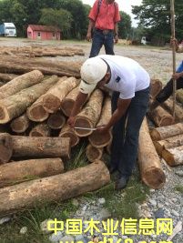 �S̴��Ԕ��(x��)��B