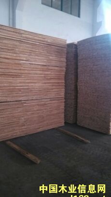 �R����о��1