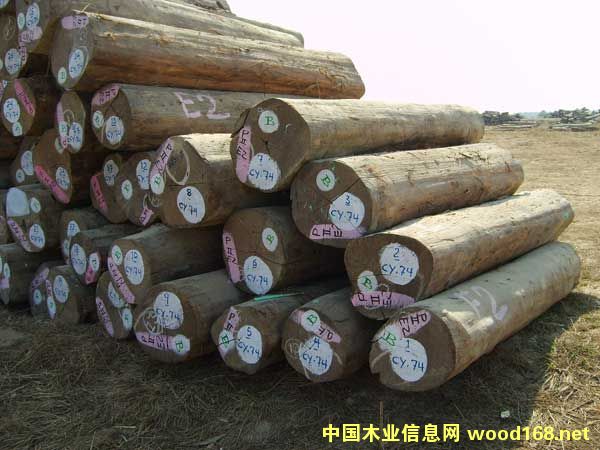 ������ľԭľ��Ԕ��(x��)��B