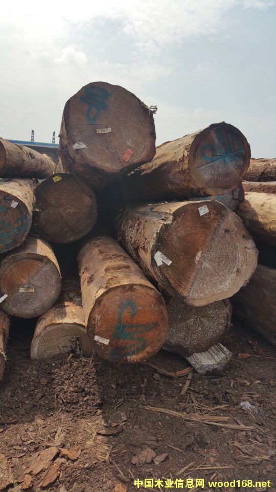 ���ô���