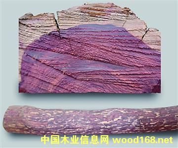 �������_�m��֦ �l�y׃�ßo�����y��������