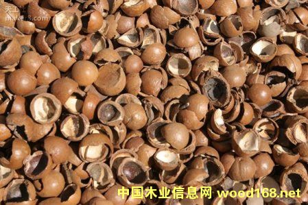 Ϥ���W�о���3D��ӡ���Թ���׃?y��u)顰ľ�ġ?><br>
                      <font size=3><b>Ϥ���W�о���3D��</b></font></a></div>
                  </td>
                </tr>
                 
                <tr> 
                  
                <td height=