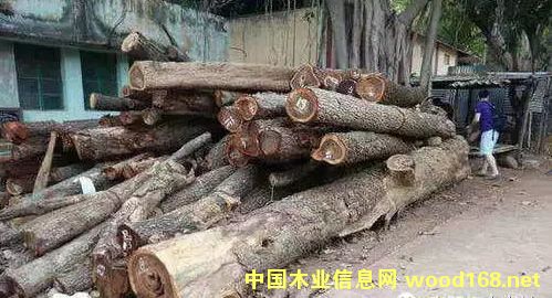 С�~��̴�˹���