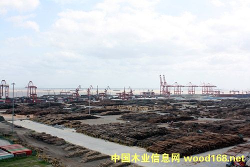 ̫�}�z�ߴ���g(sh��)ƽ�_ ��������ľ���YԴ�L�L��