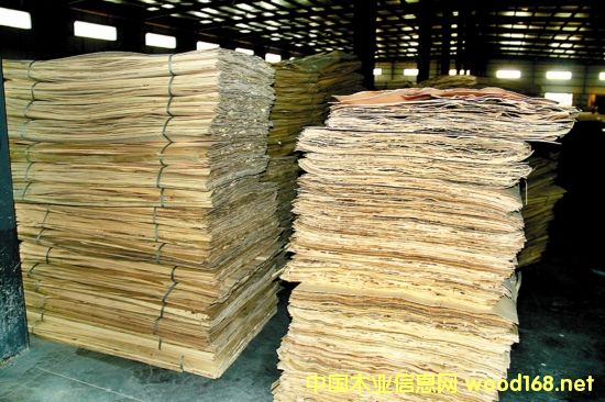 ���K�Ѻ�ľ�I(y��)���������B(t��i)�啳�N�߶��Ј�