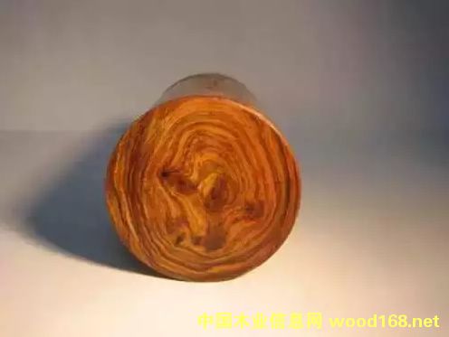 �����S̴�������S���棩