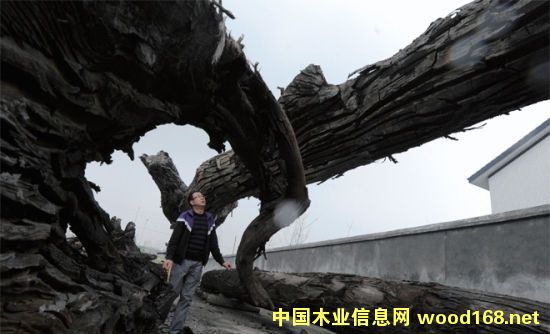 �Ĵ������ľ��͞�ľ��ꎳ�ľ��