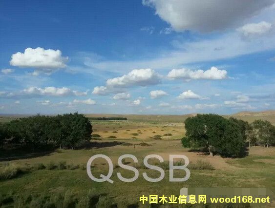 �������ľ�ͺ�����ľ�¸���̽ӑ