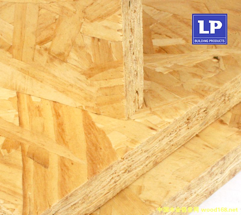 ���½���LP OSB�M�ښW�ɰ�