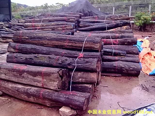 ��t��֦��-�tľ�ҾߏSѪ�I�ɱ�������ɽ�o����I(y��)