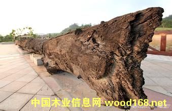 ǧ���ľꎳ�ľ