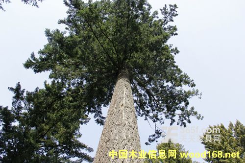 ������~��䏲Įa��С�����L1.7%