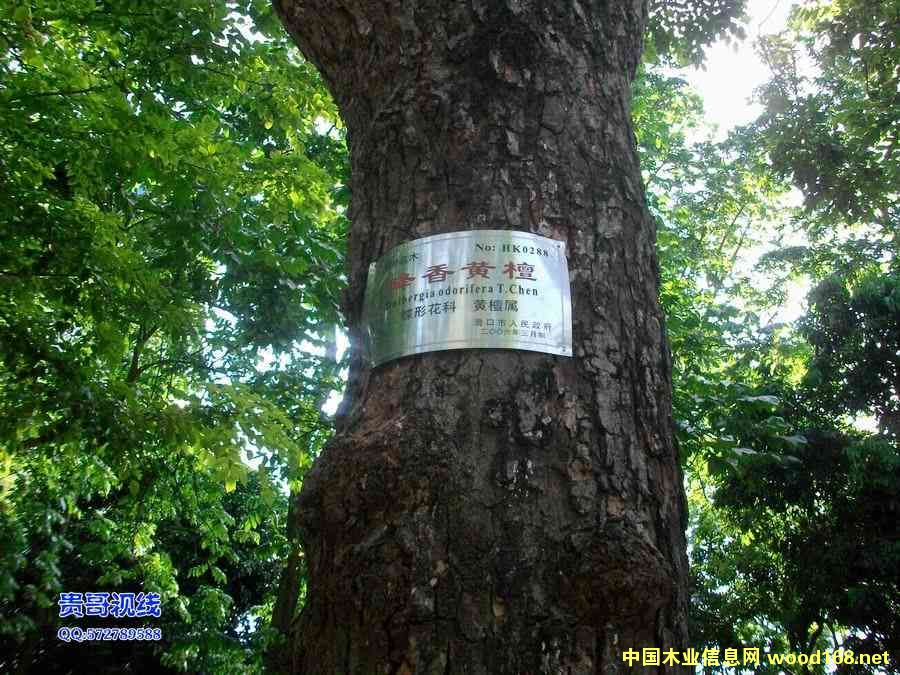 ľ�Č��캣���S���� 