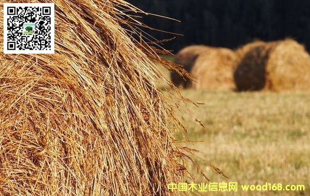 ����Y�����հ�OSSB�Ķ��x�ͷ��