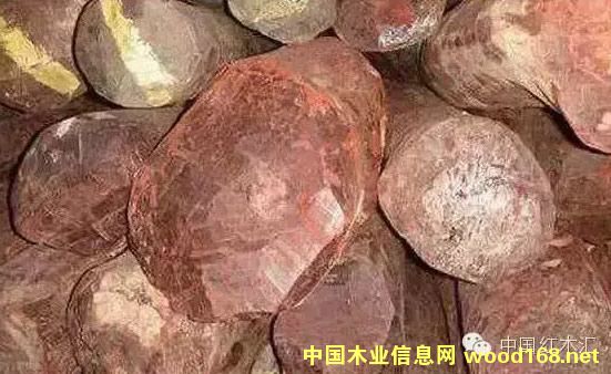 ӡ�ȼӴ�С�~��̴���o(h��)���ȣ��r(ji��)��q����17%