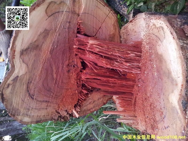 ��t��֦20����ѝq�ٱ���10���߀���ϝq30����